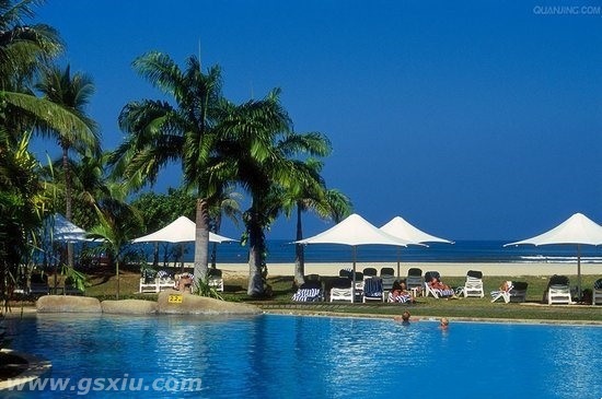 网络图片(侵删)