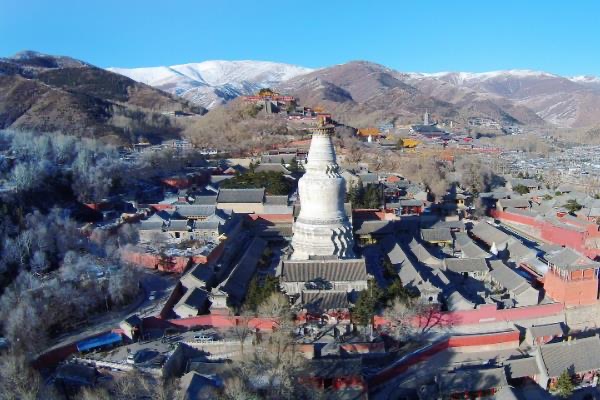 网络图片(侵删)