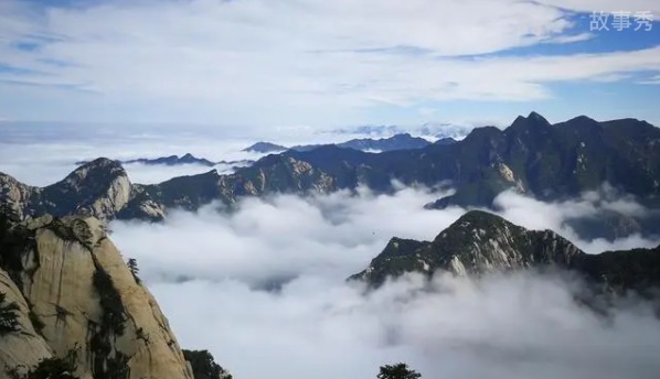 网络图片(侵删)