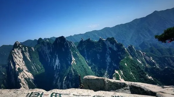 网络图片(侵删)