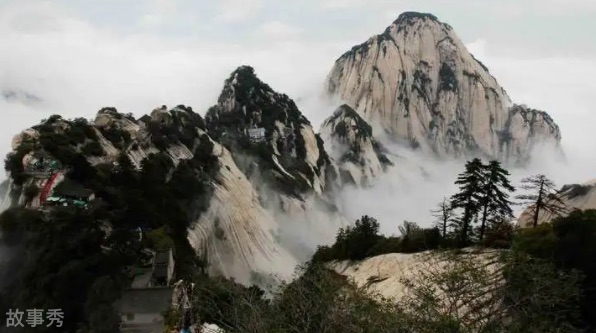 网络图片(侵删)