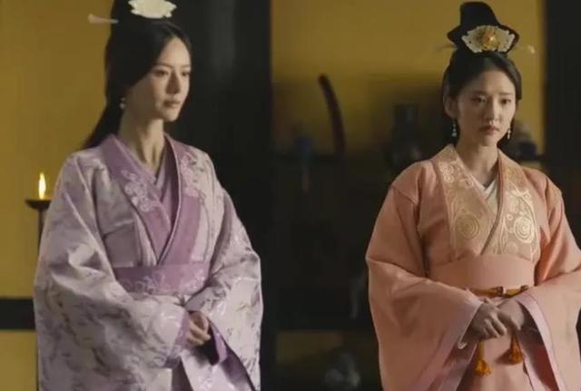 曹叡个人简介（能在诸葛亮和司马懿夹击中突围）(6)