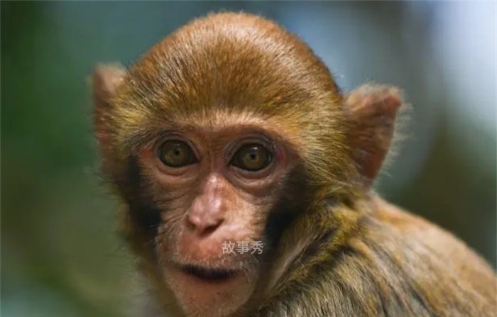 网络图片(侵删)