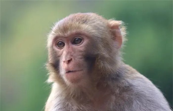 网络图片(侵删)