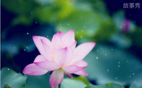 网络图片(侵删)