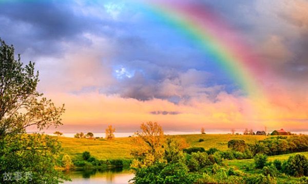 网络图片(侵删)