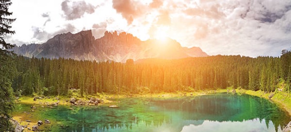 网络图片(侵删)