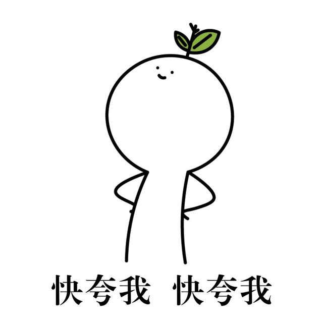 大连环境好分数低的民办高中（大连重点一般民办高中名录及近年分数线）(1)