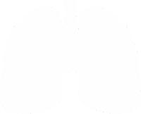 漳州市客运站是长途汽车吗（2月11日起漳州这些客运班线恢复）(5)