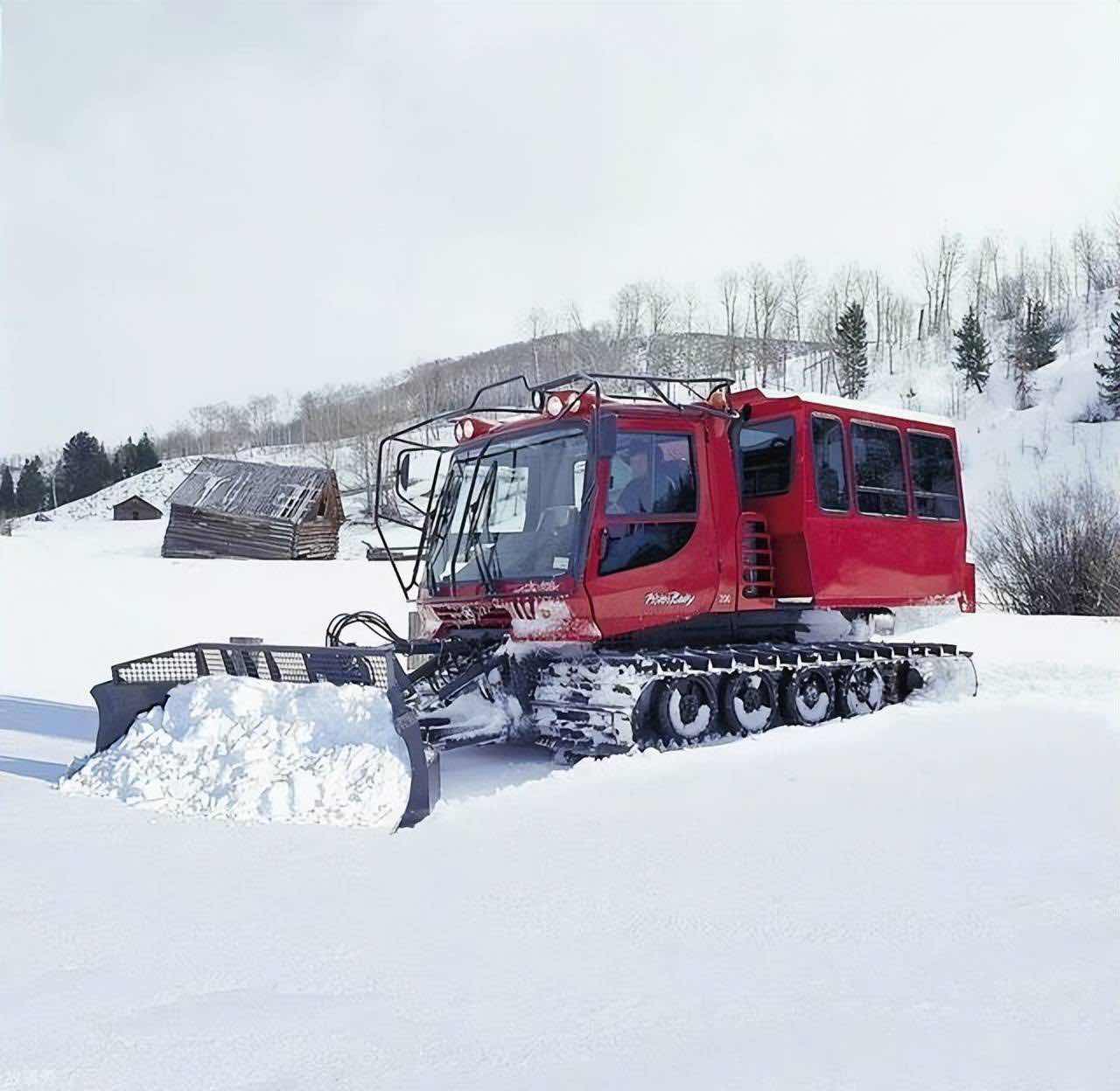 网络图片(侵删)