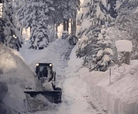 网络图片(侵删)