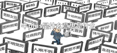 ​牛plus是什么意思是什么（网络语牛逼plus是什么意思）