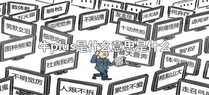 牛plus是什么意思是什么