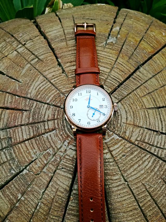 国产手表哪个牌子好些（国产手表品牌排行榜）(1)