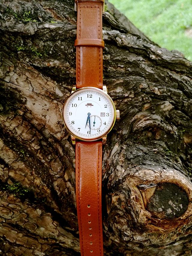 国产手表哪个牌子好些（国产手表品牌排行榜）(5)