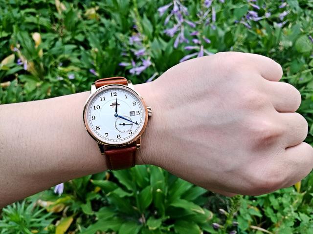 国产手表哪个牌子好些（国产手表品牌排行榜）(6)