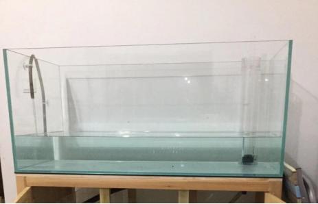 在家自制鱼缸教程（自制鱼缸你学会了吗）(2)