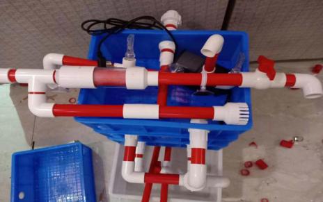 在家自制鱼缸教程（自制鱼缸你学会了吗）(6)