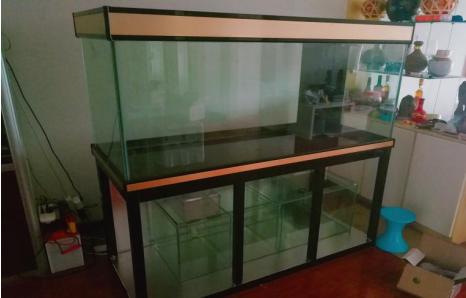 在家自制鱼缸教程（自制鱼缸你学会了吗）(5)