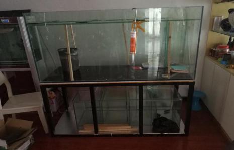 在家自制鱼缸教程（自制鱼缸你学会了吗）(4)