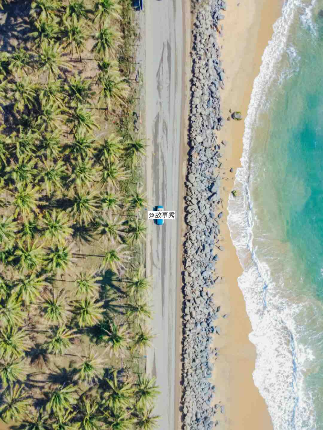 缃戠粶鍥剧墖(渚靛垹)