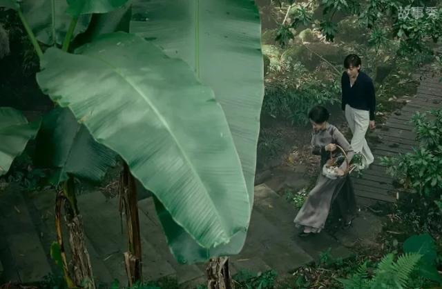 网络图片(侵删)