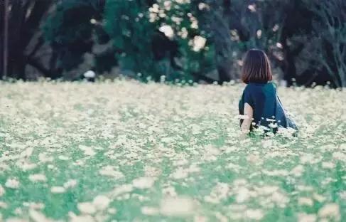 花要叶扶（花要叶扶人要人帮）(2)