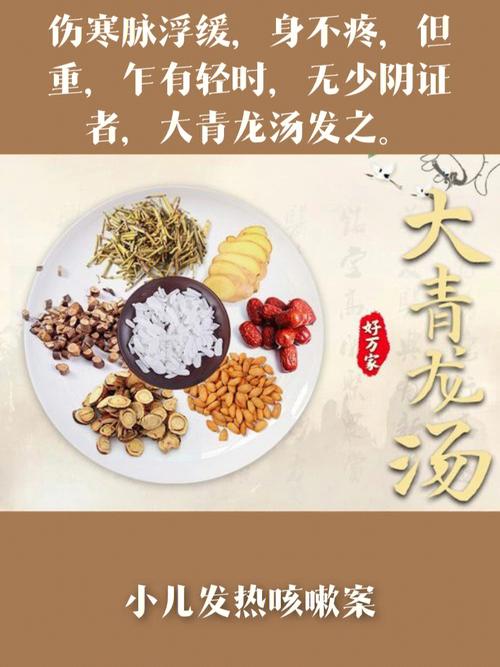 大青龙汤的组成及功效（大青龙汤的组成及功效有哪些）