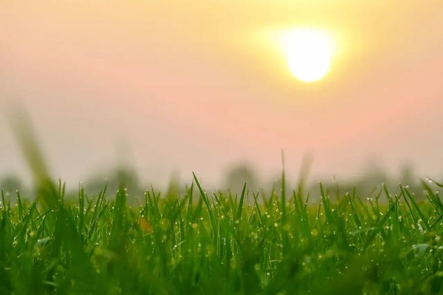 二月二有哪些风俗来历（二月二的各种风俗）(2)