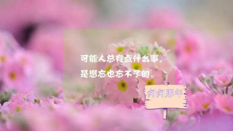 朋友请我旅游心情