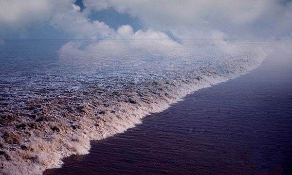 钱塘江每天涨潮时间表,钱塘江今天涨潮时间是几点海宁图4