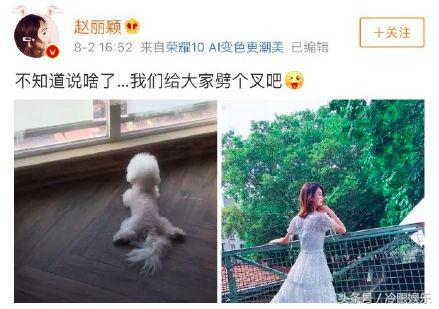 赵丽颖和冯绍峰什么时候结的婚呢（赵丽颖和冯绍峰结婚）(9)