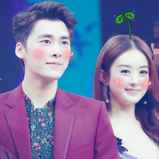 赵丽颖和李易峰又要撒狗粮（赵丽颖目前感情一片空白）(4)