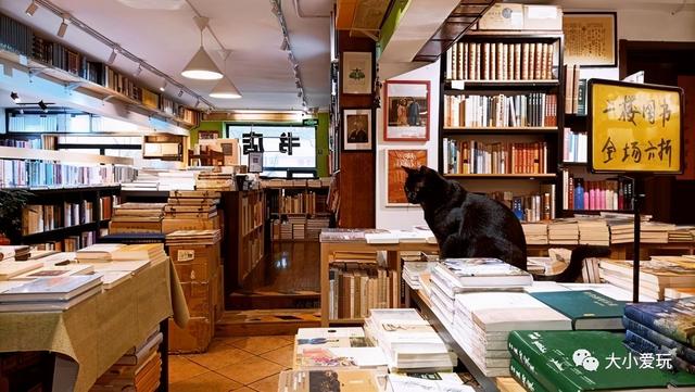 北京十个必去书店（北京书店那么多）(17)