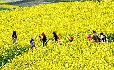 江西九江庐山旅行攻略（九江这16个地方也值得你去浪一下）(26)