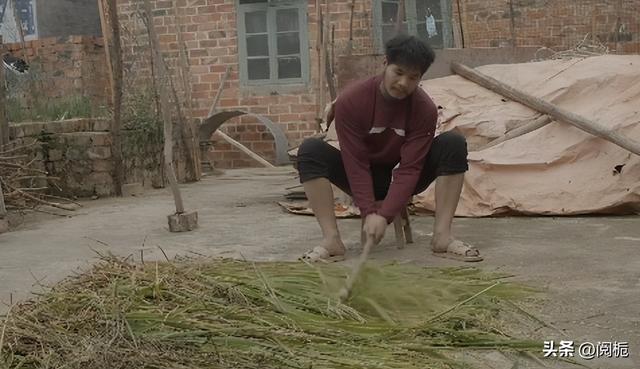 网红周立齐一年收入（不可能打工的周立齐）(16)