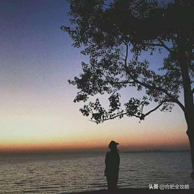 合肥有哪些好玩的地方推荐（很多合肥人都不知道）(53)