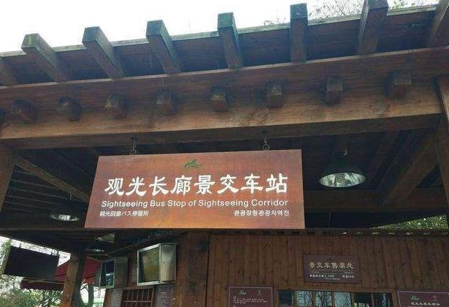 长沙自由行三日游攻略（长沙自由行攻略）(35)