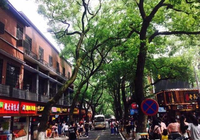 长沙自由行三日游攻略（长沙自由行攻略）(42)