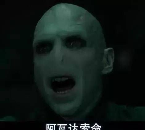 伏地魔出动是什么意思