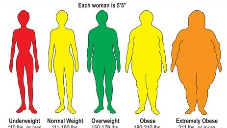 bmi计算公式,胖瘦的计算公式图4