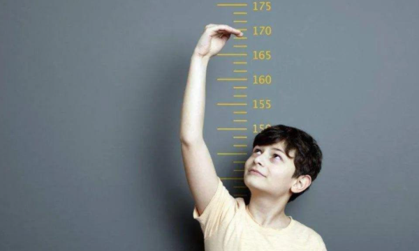 bmi计算公式,胖瘦的计算公式图3