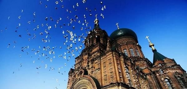 哈尔滨为什么叫冰城，冰城哈尔滨，过了冬天就是什么天？图3