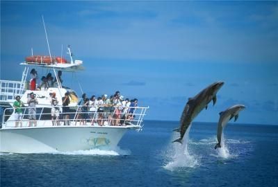 塞班岛属于哪个国家，塞班岛属于哪个国家？图5