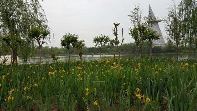 郑州旅游十大必游景点排名（郑州8大必知的著名景点）(16)