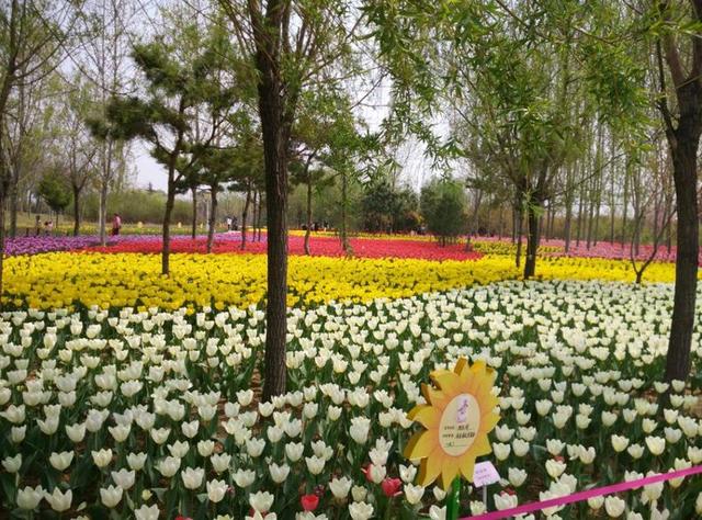 郑州旅游十大必游景点排名（郑州8大必知的著名景点）(15)