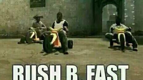 bullrush是什么意思