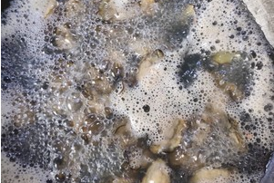 干牡蛎要泡多久,牡蛎干怎么做好吃又简单方便方便储存图4