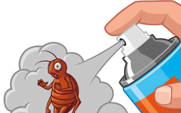 家里有蜈蚣怎么办能除根,有什么方法可以消灭蜈蚣图2