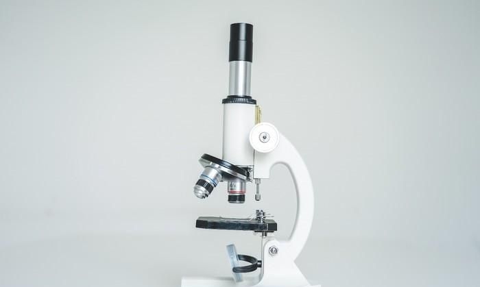 光学显微镜是什么